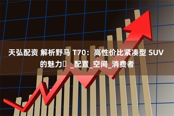 天弘配资 解析野马 T70：高性价比紧凑型 SUV 的魅力​_配置_空间_消费者